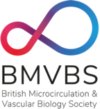 BMVBS logo